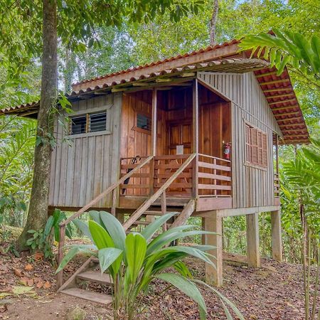 Selva Bananito Lodge Westfalia 외부 사진