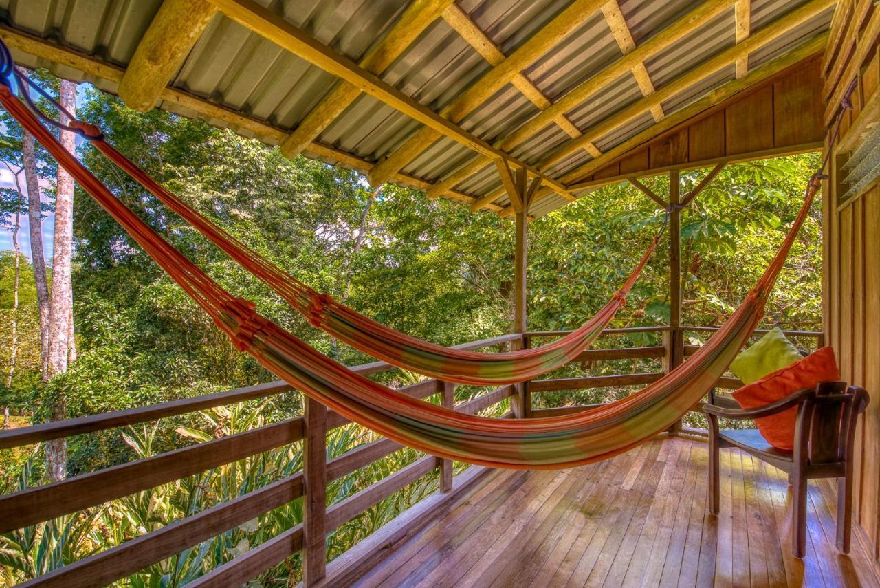 Selva Bananito Lodge Westfalia 외부 사진