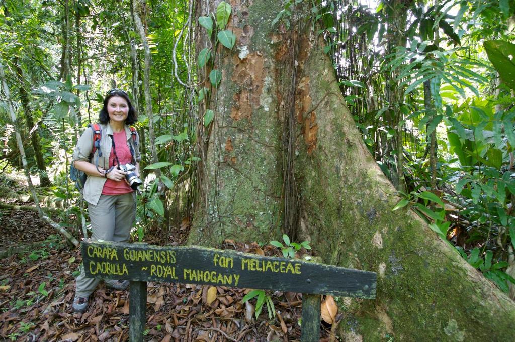Selva Bananito Lodge Westfalia 외부 사진