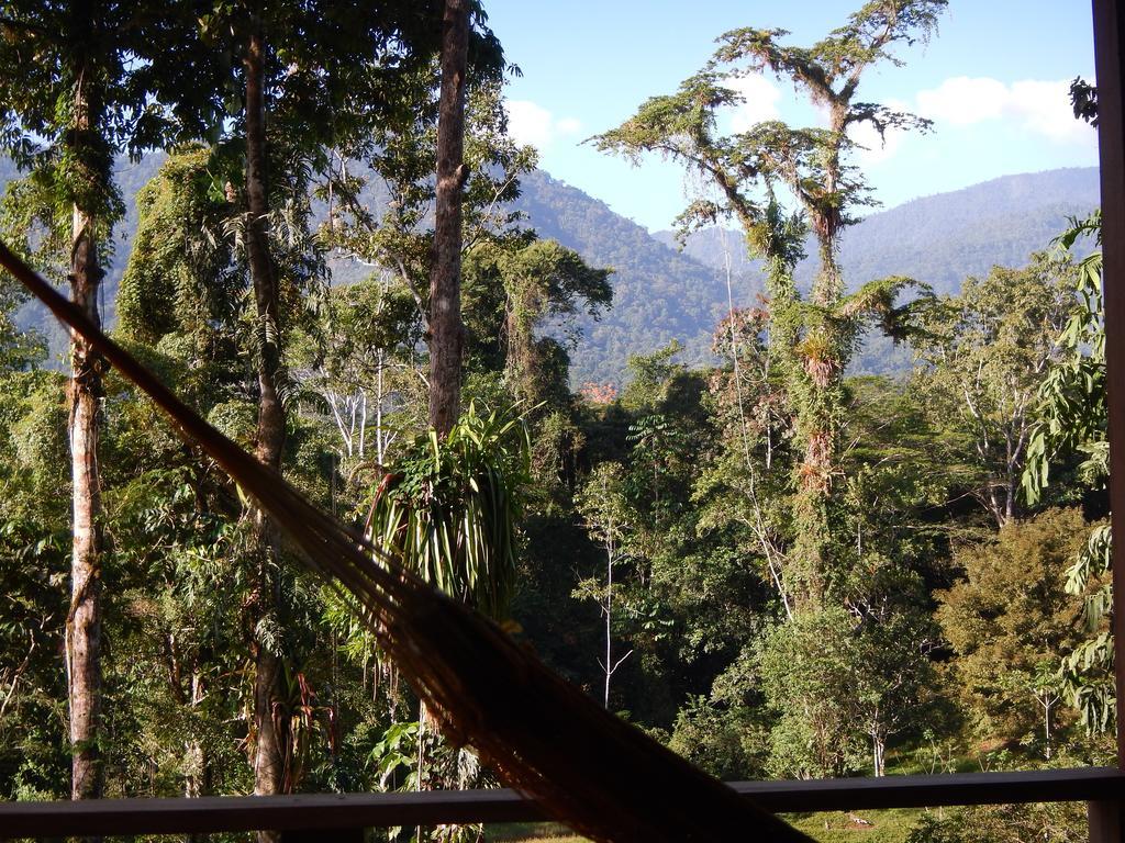 Selva Bananito Lodge Westfalia 객실 사진